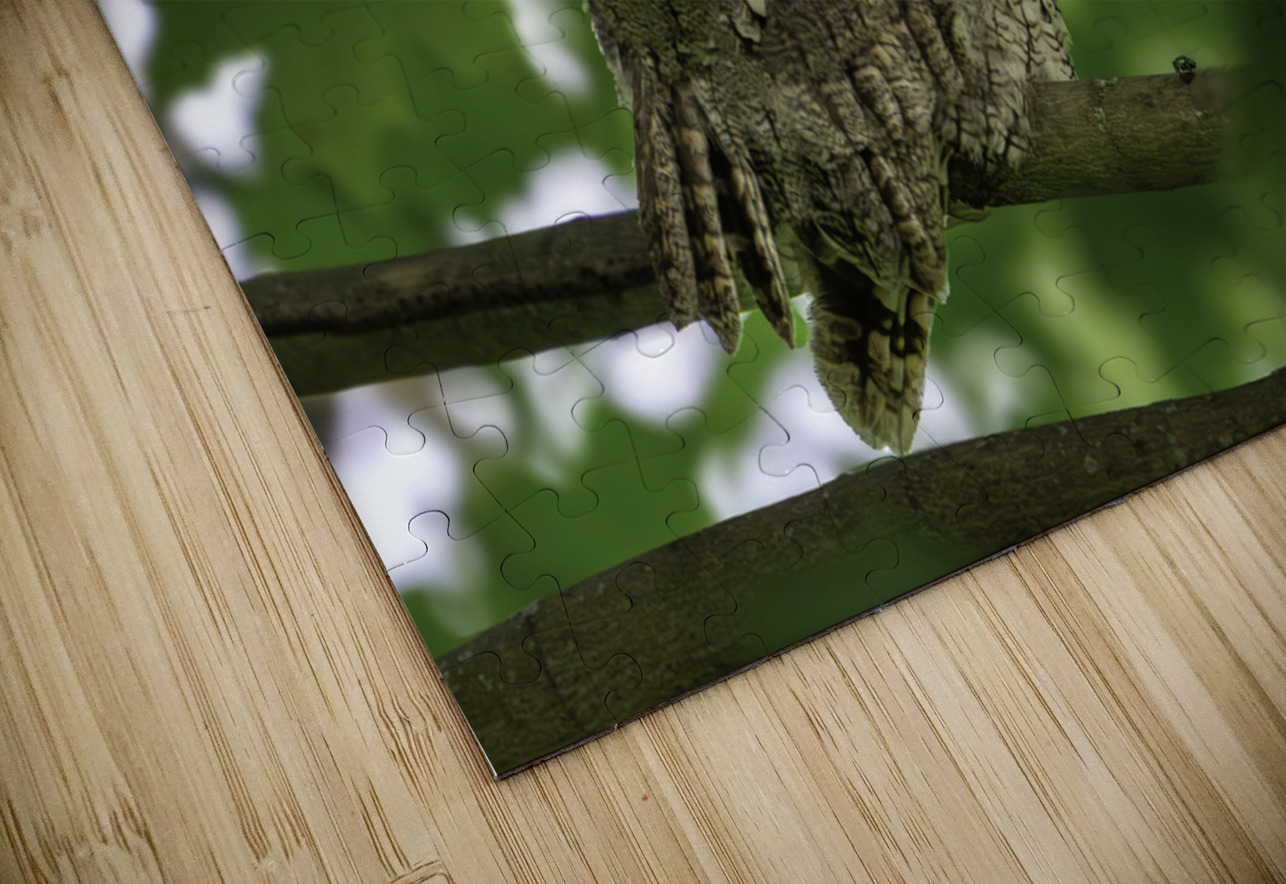 Winking Owl Aman Sharma Puzzle