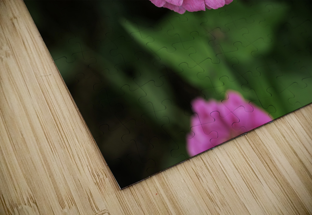 Nature’s art palette Aman Sharma Puzzle