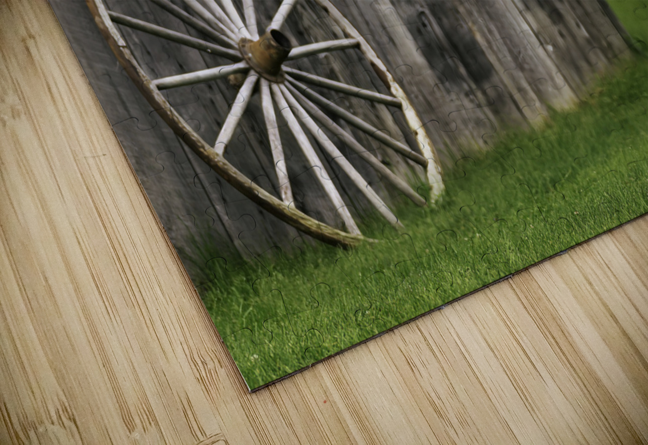 Barn Owl Colored Aman Sharma Puzzle