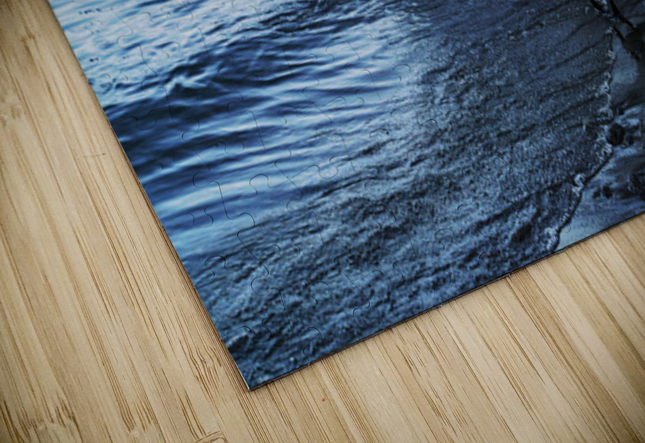 Swan in Winter Aman Sharma Puzzle