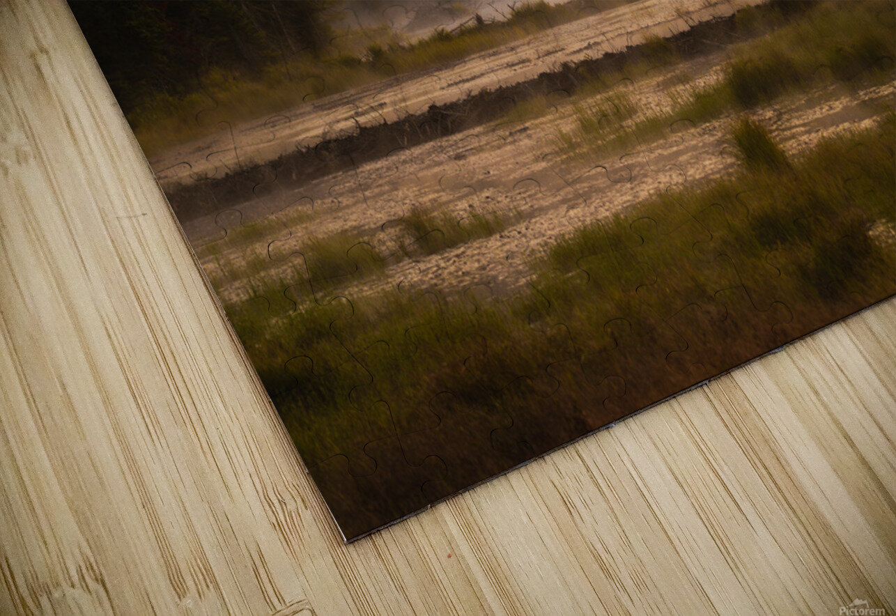 Summer morning in Algonquin Park Aman Sharma Puzzle