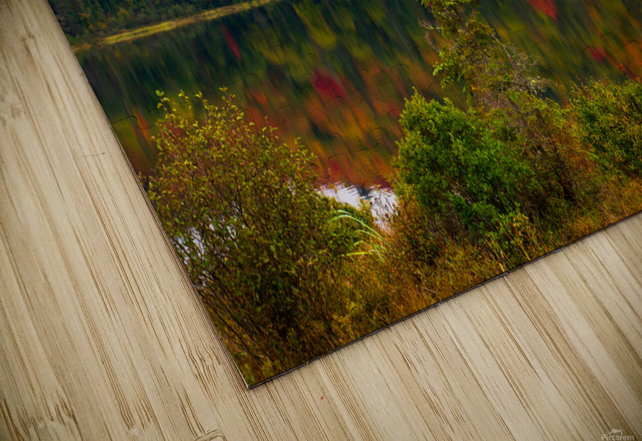 Algonquin Park in Autumn Aman Sharma Puzzle