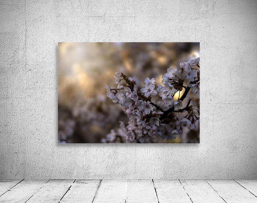 Cherry Blossom Wall Preview