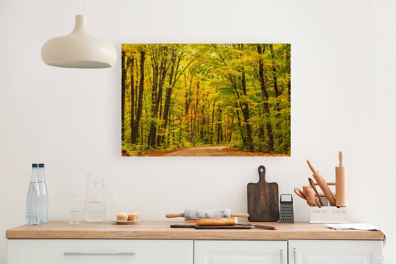 Fall Colors in Forest Reproduction